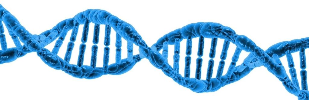 Bilim Nedir Kelimenin Türkçe ve İngilizce Kökenleri