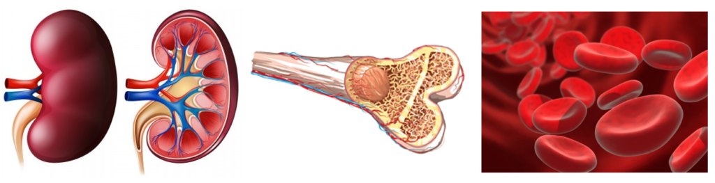 Sporda Madde Kullanımı Başlangıç, Tanım ve Yasaklılar Listesi