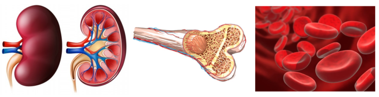 Sporda Madde Kullanımı: Başlangıç, Tanım ve Yasaklılar Listesi