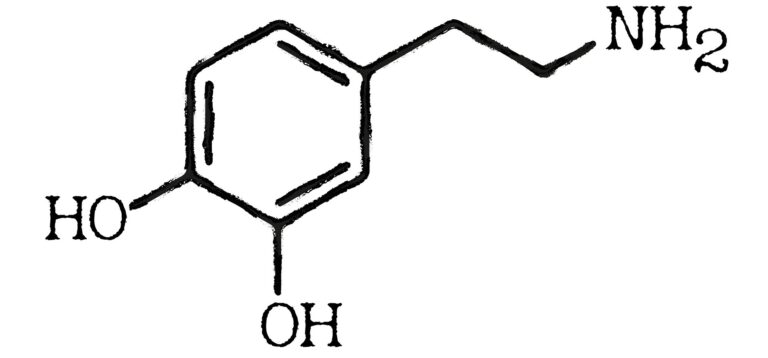 Bağımlılık ve Spor: İnsan Vücudunun Uyum Süreçlerinden Spora