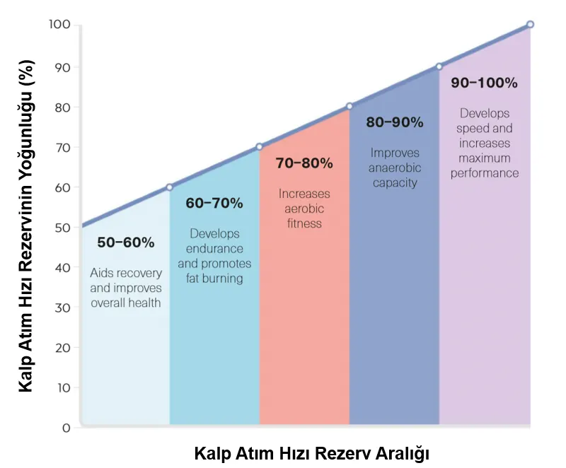 Kalp atım hızı yoğunluğu ile rezerv aralıklarını gösteren şekil