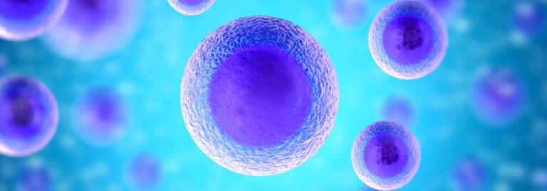 Hücre İle Başlayıp Bilinmeze Giden Süreçler