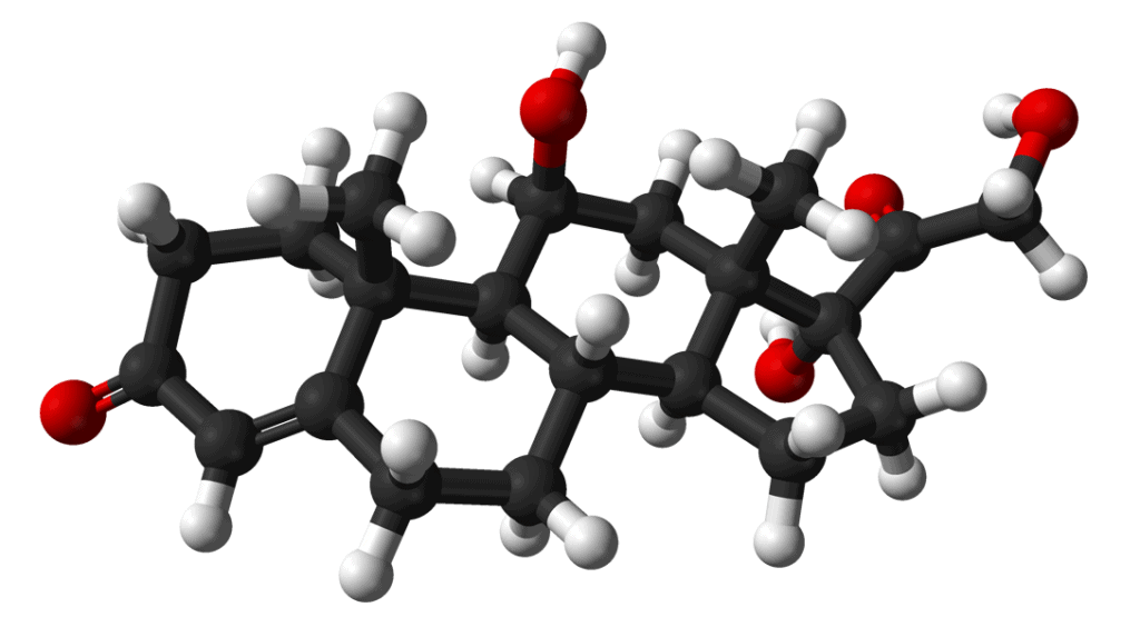 Kortizol Hormonu: Tetiklenmesi, Salınımı, Engellenmesi - Kortizol Formülü