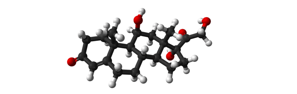 Kortizol Hormonu Tetiklenmesi, Salınımı, Engellenmesi - Kortizol Formülü - Yeni