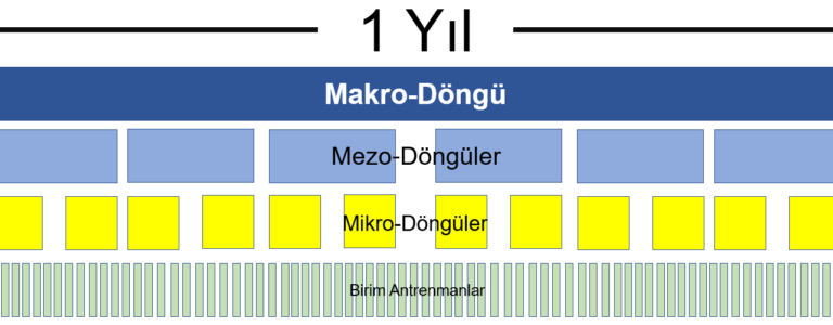 Periyodizasyon İçin Döngüler: Birim Antrenmandan Yıllara