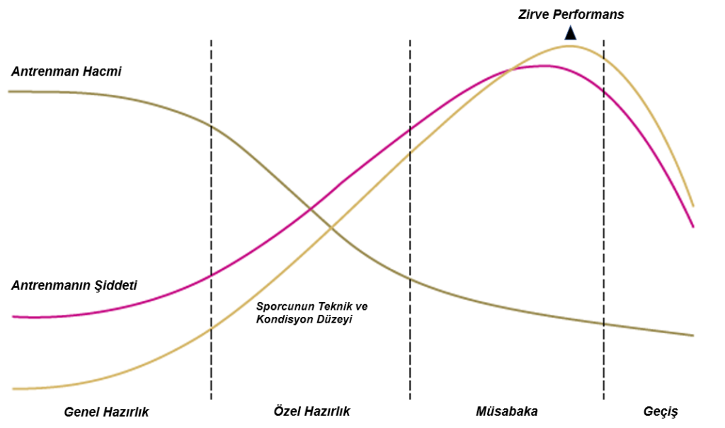Periyodizasyon İçin Döngüler: Birim Antrenmandan Yıllara