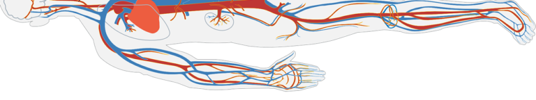 Fizyoloji: Egzersiz Fizyolojisinden Önce Neden ve Nasıl Soruları