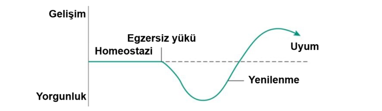 HIIT Hakkında Bilinmesi Gerekenler – V: Plandaki Yeri