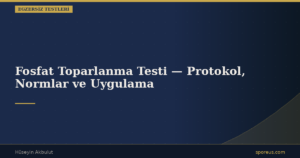 Fosfat Toparlanma Testi — Protokol, Normlar ve Uygulama