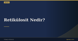 Retikülosit Nedir?