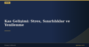 Kas Gelişimi: Stres, Sınırlılıklar ve Yenilenme
