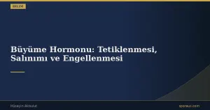 Büyüme Hormonu: Tetiklenmesi, Salınımı ve Engellenmesi