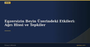 Egzersizin Beyin Üzerindeki Etkileri: Ağrı Hissi ve Tepkiler