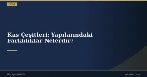 Kas Çeşitleri: Yapılarındaki Farklılıklar Nelerdir?