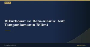 Bikarbonat ve Beta-Alanin: Asit Tamponlamanın Bilimi