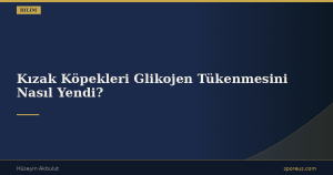 Kızak Köpekleri Glikojen Tükenmesini Nasıl Yendi?