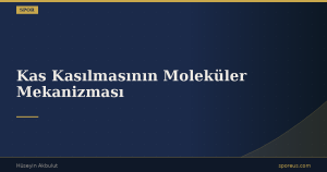 Kas Kasılmasının Moleküler Mekanizması