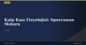 Kalp Kası Fizyolojisi: Sporcunun Motoru