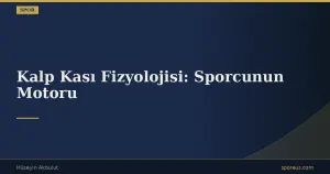 Kalp Kası Fizyolojisi: Sporcunun Motoru