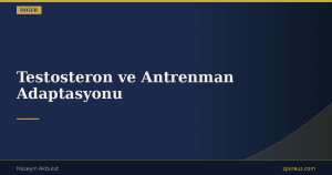 Testosteron ve Antrenman Adaptasyonu