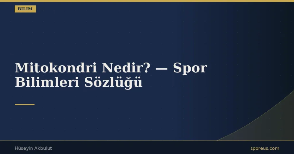 Mitokondri