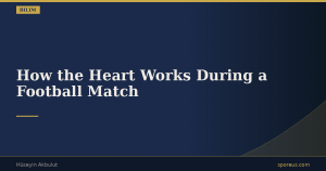 How the Heart Works During a Football Match