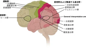 Pain Tolerance in Endurance Sport: What Science Says