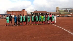 Futbolda Vuruşun Biyomekaniği: Bir Topun Fiziği