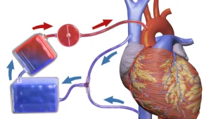 HRV Training: How Heart Rate Variability Guides Workouts