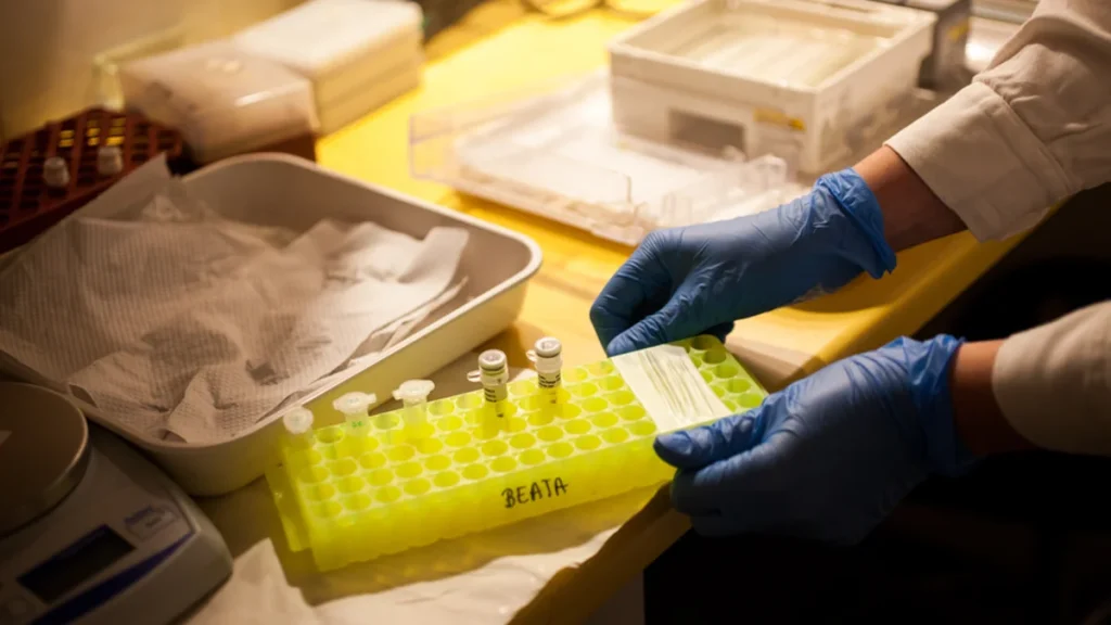 Telomer Uzunluğu Nedir?