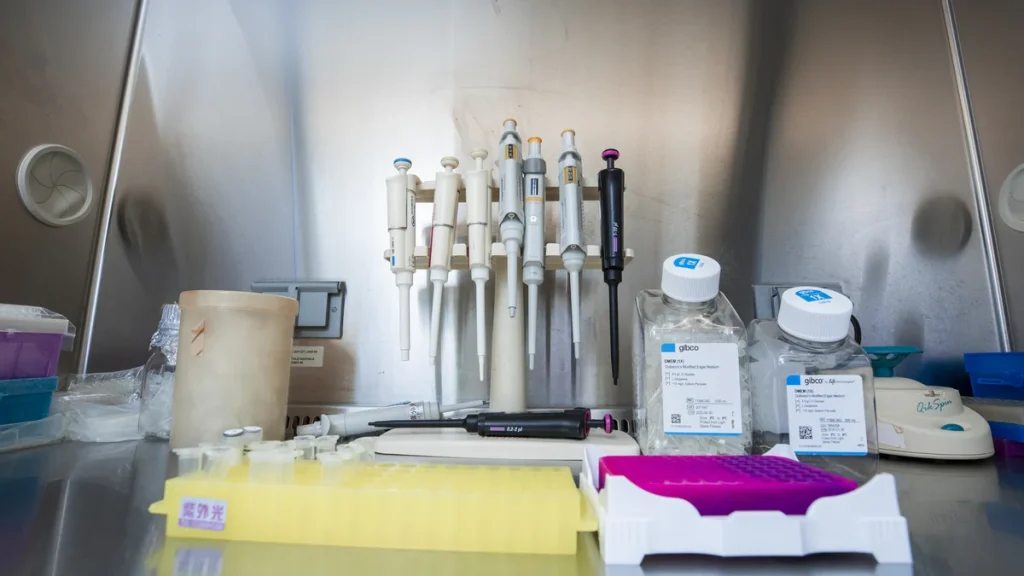 Kortizol Hormonu: Tetiklenmesi, Salınımı ve Engellenmesi
