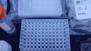 The Glycolytic System Explained: Fast Energy, Real Limits