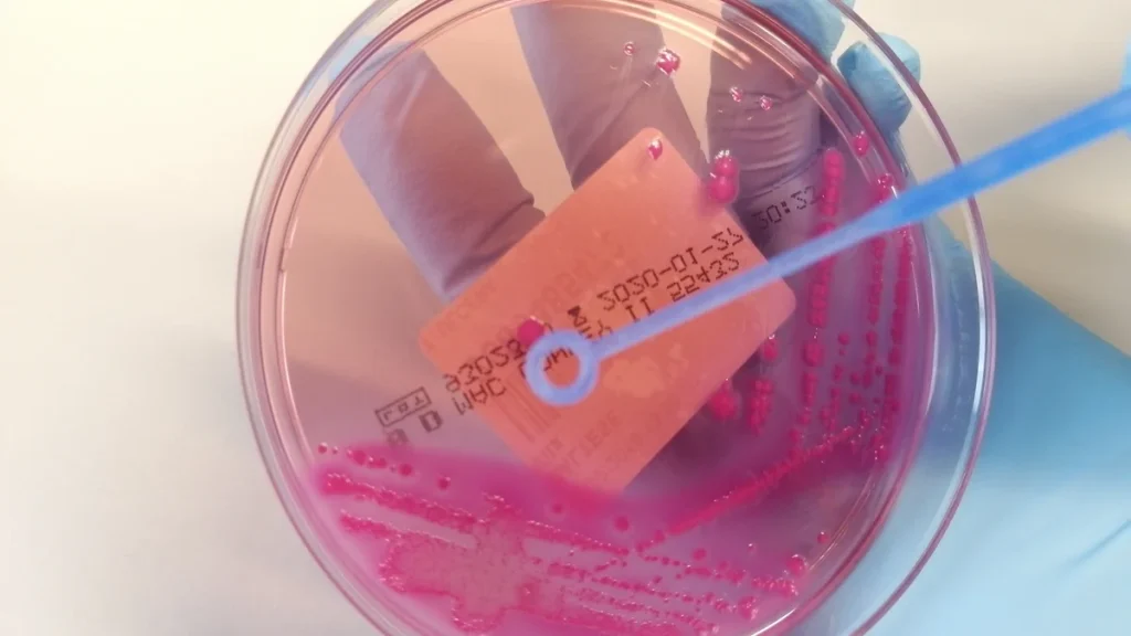 Epigenetik ve Antrenman Adaptasyonu: Egzersiz DNA'yı Nasıl Yeniden Yazar?