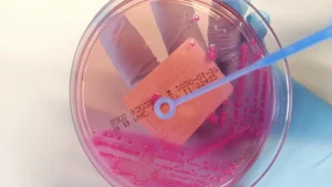 Epigenetik ve Antrenman Adaptasyonu: Egzersiz DNA’yı Nasıl Yeniden Yazar?