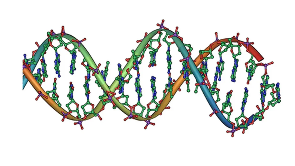Genetics of Injury Susceptibility — Can DNA Predict Who Gets Injured?