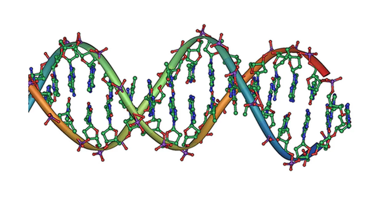 Genetics of Injury Susceptibility — Can DNA Predict Who Gets Injured?