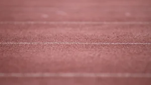 Plank Tutma Testi: Protokol, Normlar ve Uygulama