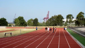Polarized Training: Why 80% Easy Makes You Faster