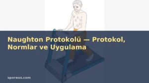 Naughton Protokolü — Protokol, Normlar ve Uygulama