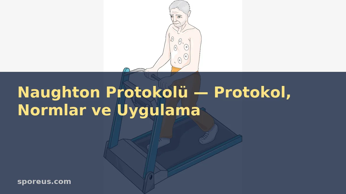 Naughton Protokolü — Protokol, Normlar ve Uygulama